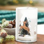 Balsam & Cedar 22 oz Candle by Yankee Candle