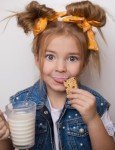 Wellsley Farms Chewy Chocolate Chip Granola Bars - 60 Count