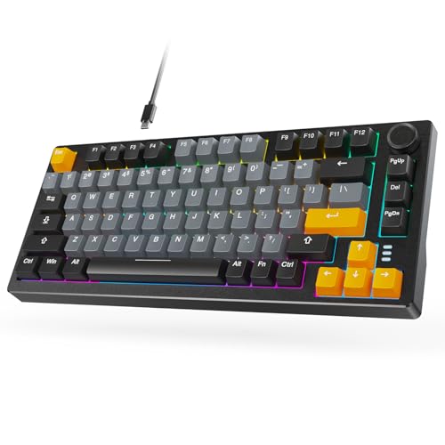 Rainbow Backlit 75% Mechanical Gaming Keyboard