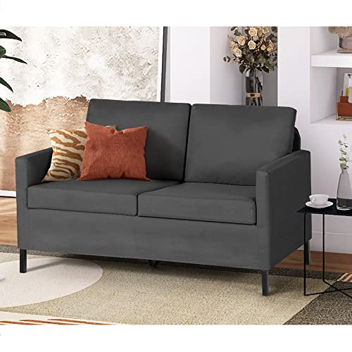 Modern Mini Loveseat Sofa for Small Spaces