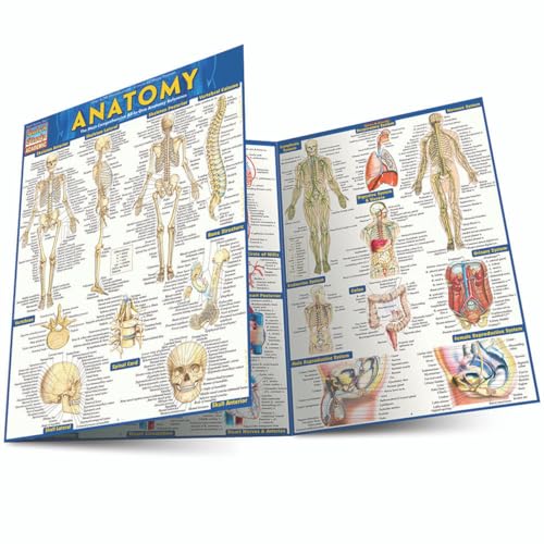 Anatomy QuickStudy Reference Guide for Students