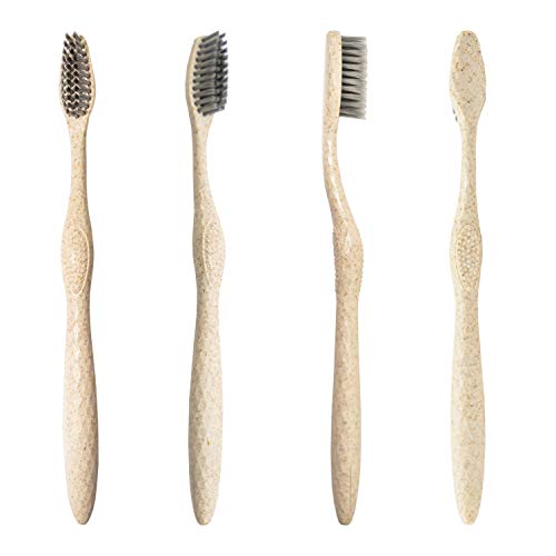 Biodegradable Eco-Friendly Toothbrushes - Pack of 100