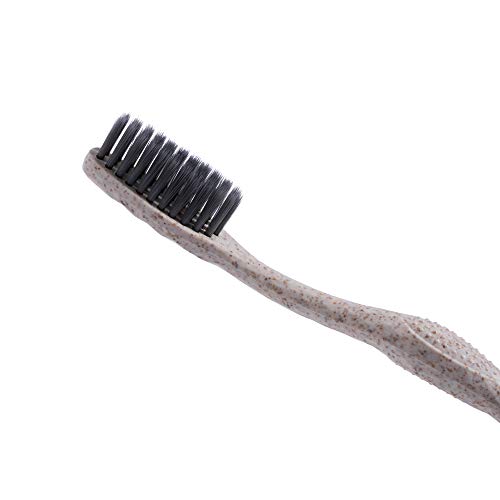 Biodegradable Eco-Friendly Toothbrushes - Pack of 100