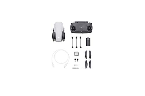 DJI Mavic Mini Drone Quadcopter with 2.7K Camera