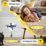 Holy Stone HS190 Mini Drone for Kids, Blue