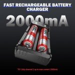 EBL Smart Battery Charger for Li-ion and NiMH