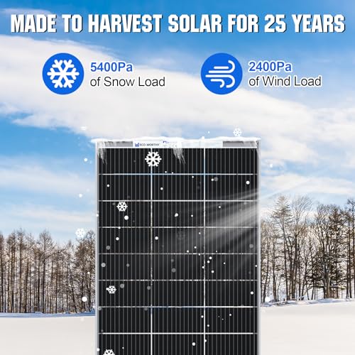 ECO-WORTHY 195W Bifacial Monocrystalline Solar Panel