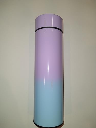 Smart Heated Bottle with LED Temperature Display