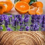 CALVIN KLEIN OBSESSION FOR MEN EDT 125ML