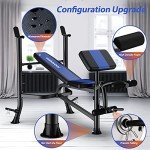 Adjustable Weight Bench with Leg Extension & Curl