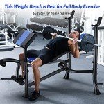 Adjustable Weight Bench with Leg Extension & Curl
