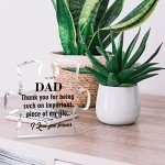 Merclix Dad Puzzle Shaped Acrylic Plaque Gifts for Dad Who Has Everything Dad Gifts from Daughter Dad Presents for Christmas Daddy Gifts from Son Fathers Day Dad Birthday Gifts Ideas