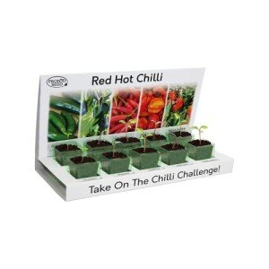 Pronto Seed Grow Your Own Chilli Plant Kit with 5 Seeds Varieties - Indoor Growing Set with Sustainable Packaging Display - Gift for Women, Men - Beginner-Friendly (Chilli Kit)