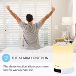 Homecube Touch Bedside Lamp, Bluetooth Speaker with Light Clock Alarm and Radio, Birthday Christmas Valentine Gifts for Men,Women,Boys,Girls,Teenage