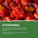 Pronto Seed Grow Your Own Chilli Plant Kit with 5 Seeds Varieties - Indoor Growing Set with Sustainable Packaging Display - Gift for Women, Men - Beginner-Friendly (Chilli Kit)