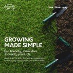 Pronto Seed Grow Your Own Chilli Plant Kit with 5 Seeds Varieties - Indoor Growing Set with Sustainable Packaging Display - Gift for Women, Men - Beginner-Friendly (Chilli Kit)