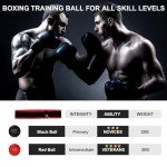 Boxing Reaction Ball with Headband for Everyone