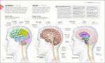 Master Yoga: Anatomy and Physiology Essentials