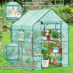Outdoor Walk-In Greenhouse with Screen Windows