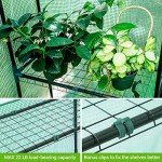 Outdoor Walk-In Greenhouse with Screen Windows