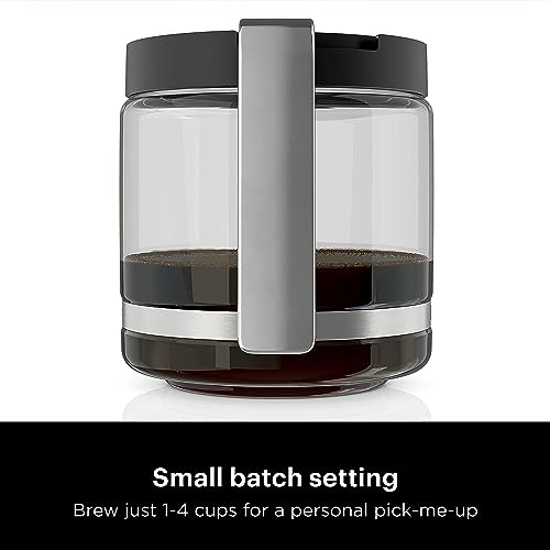 Ninja XL Programmable Coffee Maker with Timer, Copper