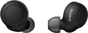 Sony WF-C500 True Wireless Earbuds for Men