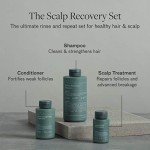 Lumin Men's Scalp Recovery Haircare Set
