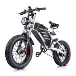20" Off-Road Electric Bike with Detachable Battery