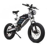 20" Off-Road Electric Bike with Detachable Battery