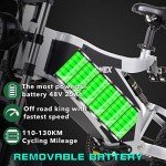 20" Off-Road Electric Bike with Detachable Battery