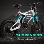 20" Off-Road Electric Bike with Detachable Battery
