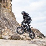 20" Off-Road Electric Bike with Detachable Battery