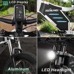 20" Off-Road Electric Bike with Detachable Battery