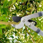 Hortem Garden Shears Set for Tree & Shrub Care
