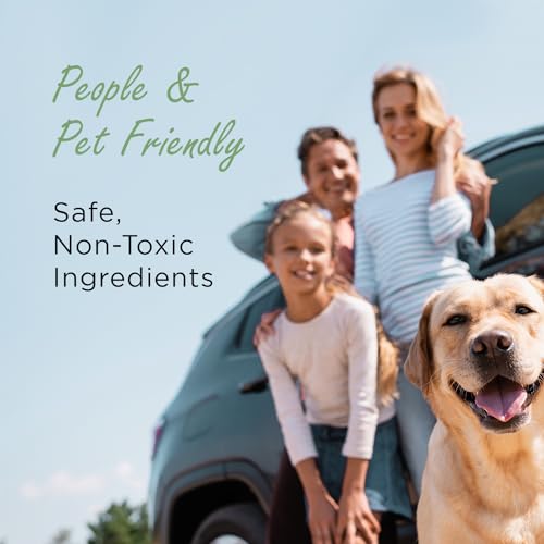 Bamboo Charcoal Car Odor Absorber - Unscented