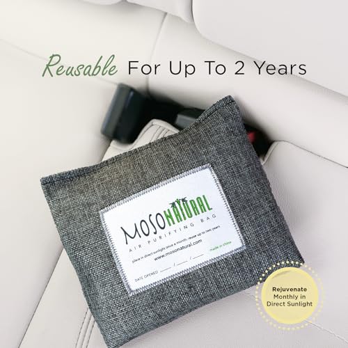 Bamboo Charcoal Car Odor Absorber - Unscented