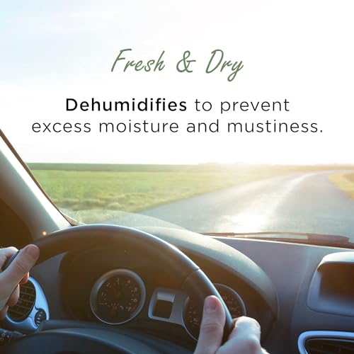 Bamboo Charcoal Car Odor Absorber - Unscented