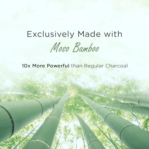 Bamboo Charcoal Car Odor Absorber - Unscented