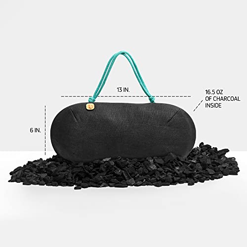 PURGGO 365-Day Bamboo Charcoal Car Deodorizer