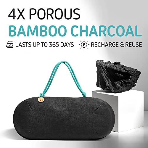 PURGGO 365-Day Bamboo Charcoal Car Deodorizer