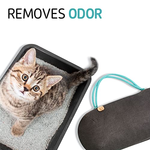 PURGGO 365-Day Bamboo Charcoal Car Deodorizer