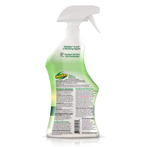 Eucalyptus Upholstery Deodorizer Spray - 32 Oz