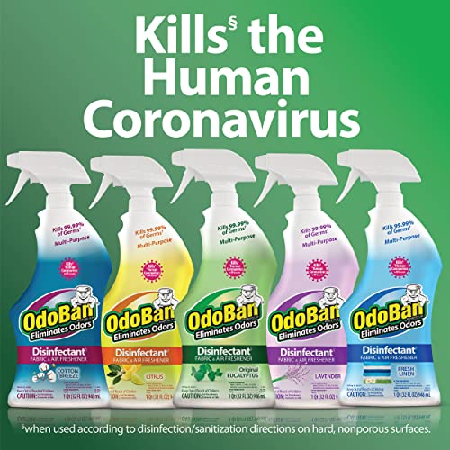 Eucalyptus Upholstery Deodorizer Spray - 32 Oz