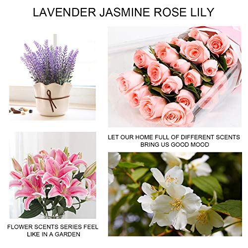 Rose Cottage 12-Pack Scented Closet Deodorizers