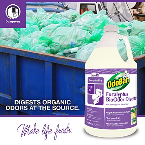 Eucalyptus Upholstery Deodorizer - 1 Gallon