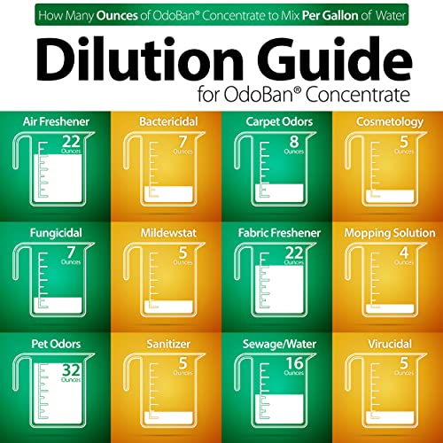 OdoBan Eucalyptus Upholstery Deodorizer, 2 Gallons