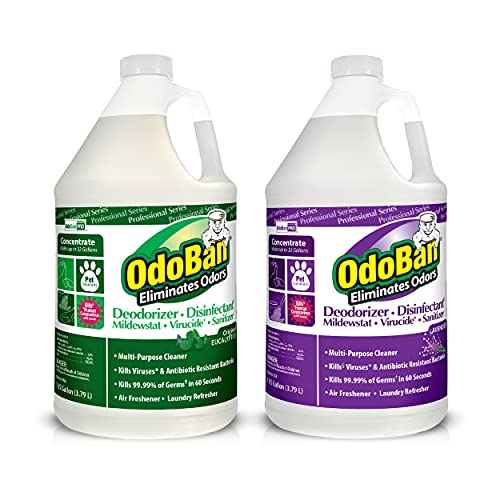 OdoBan Odor Eliminator Concentrate – Eucalyptus & Lavender