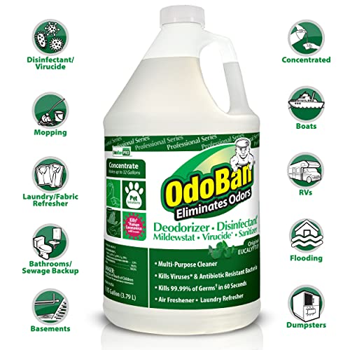 OdoBan Odor Eliminator Concentrate – Eucalyptus & Lavender