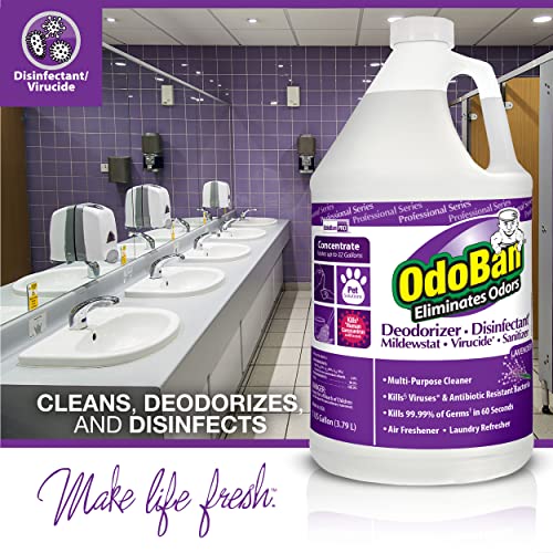 OdoBan Odor Eliminator Concentrate – Eucalyptus & Lavender