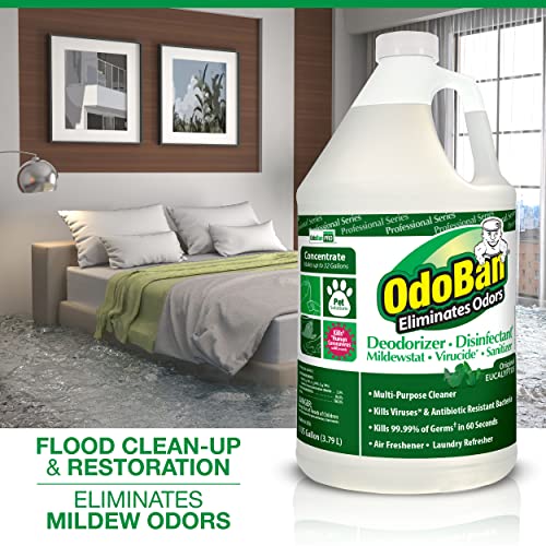 OdoBan Odor Eliminator Concentrate – Eucalyptus & Lavender